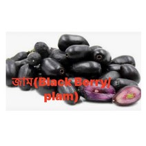 S.N. FOOD FROZEN BLACKBERRY(PLUM)(냉동 블랙베리)방글라데시과일500g (1+1)세일 총2팩, 미개봉상태에서 24시안으로 반품가능, 2개, 500G