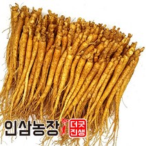 더굿진생 금산인삼 수삼 햇인삼 원수삼 삼계탕재료 가정 업소용 350g, 1개, (세척안함)식당알뜰형350g(55~70뿌리