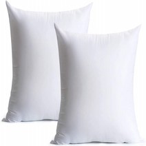 Polyester 18.0 Inches Calibrate Timing 18 x 18 Pillow Inserts 2 Packs Hypoallergenic Square Decor, 1
