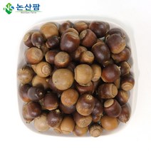 22년 햇 국산 상수리 열매 1kg 도토리, 도토리모자50g, 1개