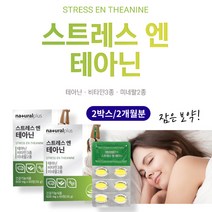 스트레스 엘 테아닌 250 mg 마그네슘 아연 바티민 B C 40대 50대 60대 남편 직장인 선물 L 태아닌 영양제 추천