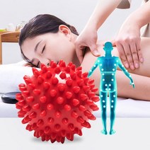 다리 손지압볼 허리지압볼 지압볼 발지압볼 등 만능, 퍼플