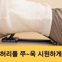 자세교정 척주측만증 교정 보조기 허리견인 치료 치료기 바른핏