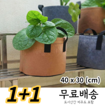 배란다 미니화분 대파키우기, 블랙, 블랙