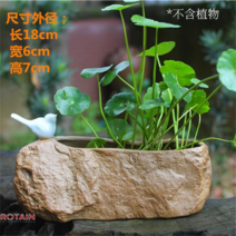 물구멍 없는 화분 수경 재배 용기 세라믹 새 돌 정원 장식, 밑구멍 없는[까치롱]