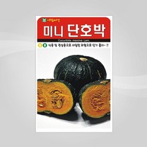 슬로시 슬로시 열매 씨앗 고추 토마토 콩 씨 종자, 미니단호박5립(아람)