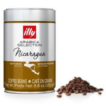 일리 니카라과 원두커피 홀빈 커피 250g.빈스몰