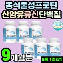 50대 60대 중년 L-로이신 류신 루신 뉴신 네덜란드 산양유 단백질 프로틴 프로테인 정제 알약 식물성 동물성 프로테인 분리 완두 대두 단백 BCAA BACC 필수 아미노산 추천