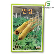 파머스케어 인삼20립 - 인삼씨앗 인삼 장뇌삼 산삼 삼씨앗 삼 인삼씨 산양삼 산양삼씨앗 장뇌삼씨앗 주말농장 텃밭 KS종묘 야채 채소 야채씨앗 채소씨앗, 1개