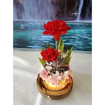 카네이션 프리저브드 유리돔 무드등 장미꽃 어버이날 선물 직장인 자취생 인테리어, 카네이션 무드등, 레드