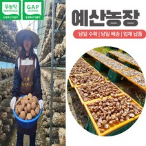 무농약인증 GAP인증 산지직송 자연 그대로담은 건조표고 -(화고 )말린 마른 건표고버섯 - 통표고버섯 다시용 국물용 육수용 김장용 재료 2+1 =600 g 5+3 /8+5, 8봉지, 건화고-5+3=1600g