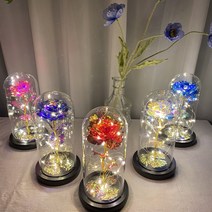 [델피니움] LED 장미 유리돔 무드등 미녀와야수, 화이트