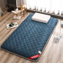 어스 원더 랜드 두꺼운 토퍼 매트리스, SS(120*200cm), 푸른 색