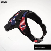 강아지 견인끈 나시형 산책로 강아지끈 테디파두 코키 중형견 소형견 애완견용 가슴끈, 국기 컬러 싱글 가슴과, Xs모델(추천5-10Kg)
