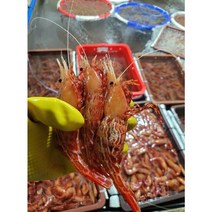 자연산 독도새우 500g 1kg 급냉 꽃새우 닭새우, 닭새우 500g(17~20미 내외)