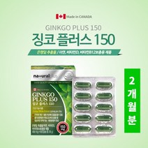 두뇌 머리 뇌혈관 확장 기억력 집중력 깜빡거림 뇌손상 브레인 개선 관리 에 좋은 은행잎 추출 징코 아연, 1BOX(2개월분)