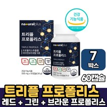 식약처 인증 프리미엄 레드 그린 브라운 푸로폴리스 트리플 프로폴리스 식물성 캡슐 츄어블 추어블 타입 영양제, 7박스, 트리플프로폴리스 x 60캡슐