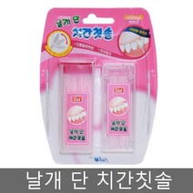 SM 날개 단 치간칫솔 /80개입