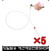 점프력발달돕는고양이관절 새끼고양이장난감 고양이장난감추천 아기고양이키우기