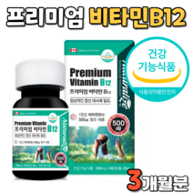 캐나다 산 프리미엄 비타민 B 비군 B12 엽산 대사 휴대 간편 간편한 먹기 편한 타블렛 타블릿 알작은 크기 작은 목넘김 이 쉬운 초 소형 정제 소장 비타민 바이타민 작은알 제품