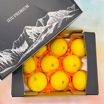 산지직송 프리미엄 제주 황금향 선물세트, 1box, 1kg 중과(3-5과) 가정용