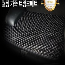 원스 가죽 트렁크매트, 아이오닉전기차