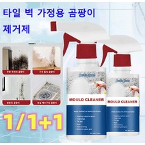 벽면제거제 화장실 곰팡이제거제 에코후레쉬 곰팡이제거제 강력 제거제, 60ml*2, 1개