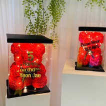 [문구제작] 로즈베어+전용케이스+LED전구 풀세트 구성 25cm 40cm 장미꽃 곰돌이 로즈 곰인형 프로포즈 생일 기념일 선물, 코랄, S사이즈, 골드
