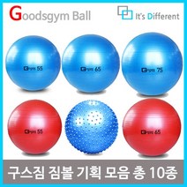 구스짐 프리미엄 짐볼 55cm 65cm 75cm 마사지, 블루