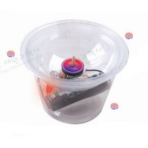 사이언스피아 무한N/S회전팽이만들기(5명세트)/전자석/자석