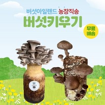 버섯키우기, 느타리1+표고1