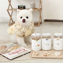 말썽쟁이여름 강아지 고양이 동결건조 야채 노니 북어 연어 치킨 트릿 간식, 노니품은 닭 파우치 35g