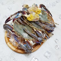 국내산 서해안 숫꽃게 가을 꽃게 활 생물 제철 꽃게 1kg 3-5미, 활 숫꽃게 1kg 3-5미, 1개