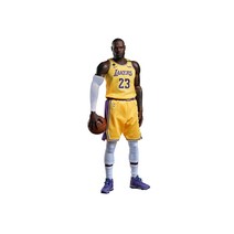 Enterbay x NTWRK Exclusive Real Masterpiece NBA Collection LeBron James Action Figure112174, US