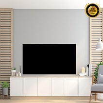 LG전자 올레드 TV, 방문설치, OLED48C2KNA, 120cm(48인치), 스탠드형