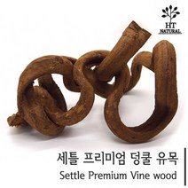 세틀 프리미엄 덩쿨 유목 [약15~20cm] 3개묶음