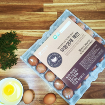 푸드번창 친환경 무항생제 신선 계란 60구 2판 농장직영 달걀 (파손보상)
