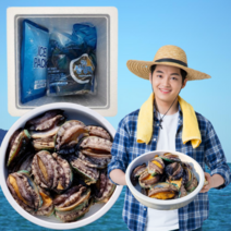 먹사부 완도 전복 활전복 해산물 꼬마 소 중 대 특대 직거래 1kg 2kg 가정용 선물용, 전복(15미 내외) 1kg