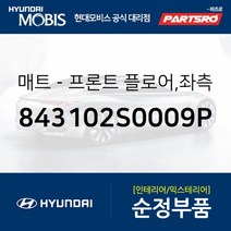 프론트 플로어 매트 좌측 (843102S0009P)-현대모비스 부품 공식대리점 온라인쇼핑몰 파츠로 투싼IX