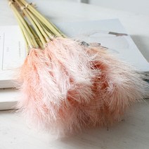 cocooning 가을 억새풀 팜파스 핑크 뮬리 갈대 조화, 1개