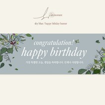 아트모멘트 생일현수막 첫돌 셀프돌잔치 감성 이벤트현수막 해피벌스데이, 토프