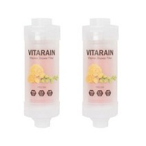 비타레인 비타민 샤워기 필터 프리지아향, 4개