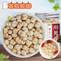 사천 야생 천패모 초특급 패모 50g, 1병