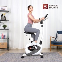 반석스포츠 베이엑스 입식싸이클 실내자전거 유산소운동 가정용 헬스싸이클 운동 기구