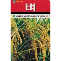 새싹채소 벼 씨앗(20g)(A0887)