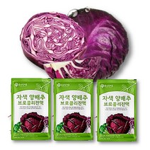 적양배추즙 자색 빨간 양배추 브로콜리 즙 진액 국내산 제주 30포