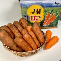 [해도지]고향쥬스용 흙당근20kg