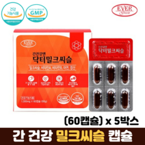 간건강엔 닥터밀크씨슬 아연 엽산 60캡슐, 5개