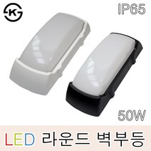 데이온 LED방수벽등 50W 터널등 사우나 벽부등 외벽등 외부방수등 아크릴커버, 백색(전구색)