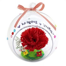 비누꽃 카네이션 투명볼-1인 아동미술 어린이집만들기 유치원/미술재료/카네이션DIY/유치원만들기/만들기교구/유치원미술세트/만들기수업/유치원미술/교구소품/만들기재료